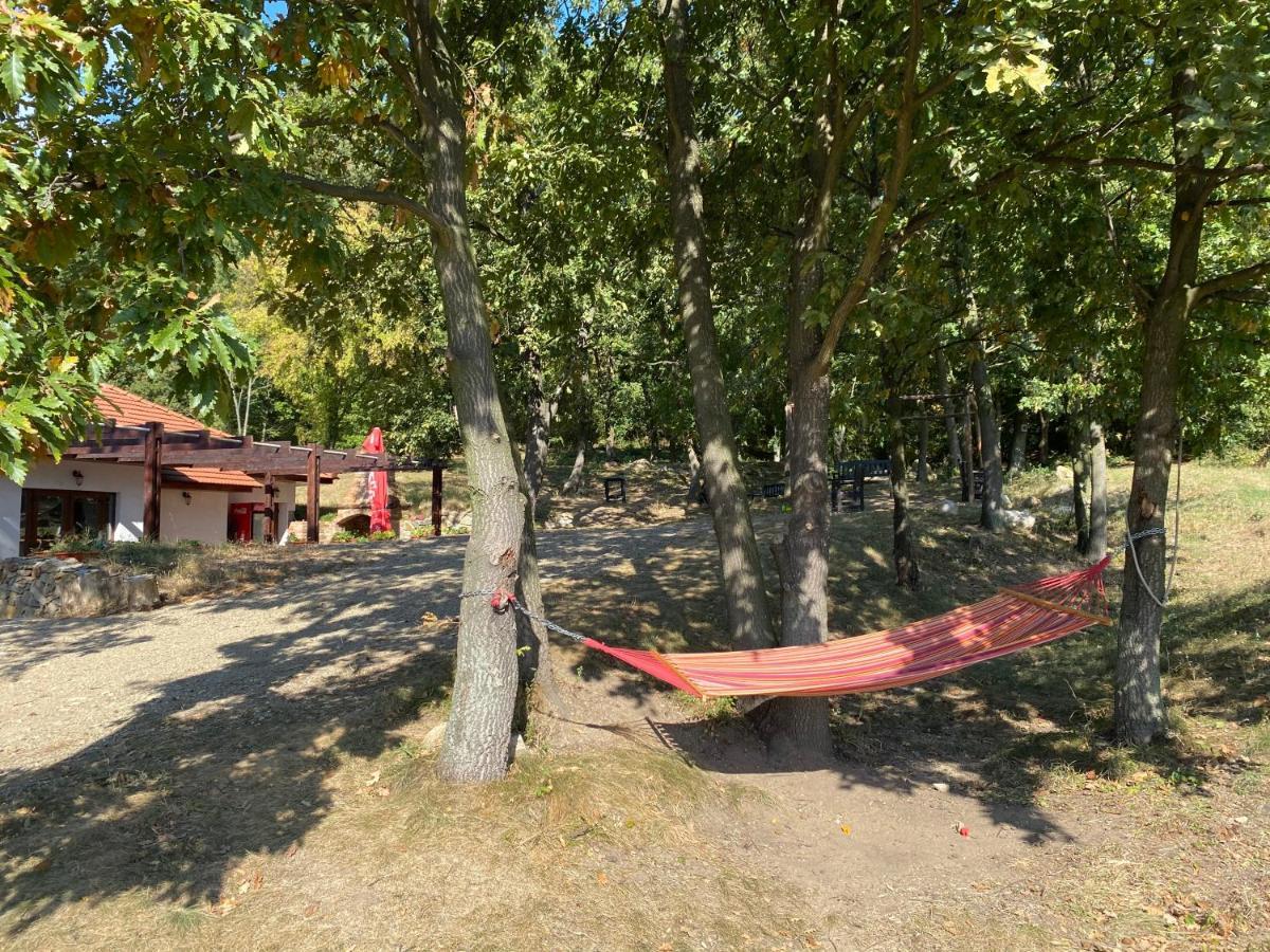 Clisura Dunarii - Pensiunea Casa Creta Liborajdea Buitenkant foto