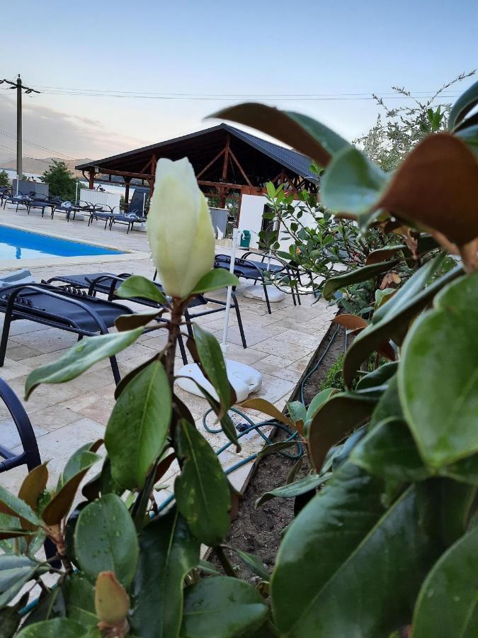 Clisura Dunarii - Pensiunea Casa Creta Liborajdea Buitenkant foto